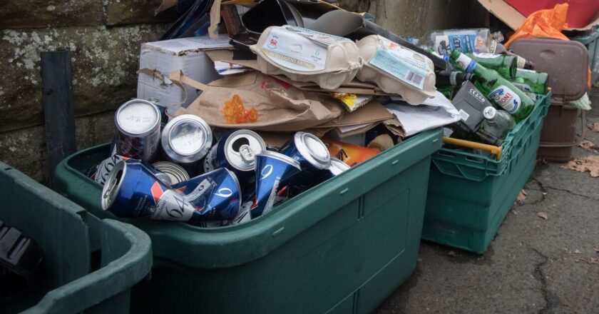 Binman urges Brits to never put common item in recycle bin