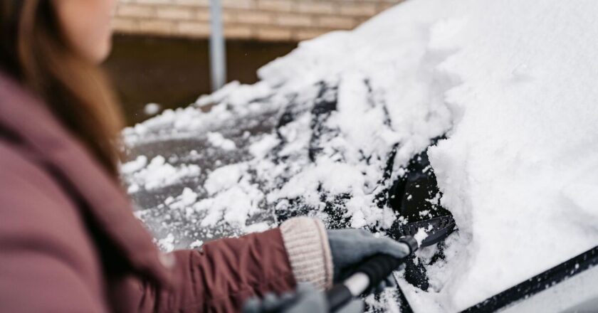 Blue Cross warning to pet owners defrosting cars in January