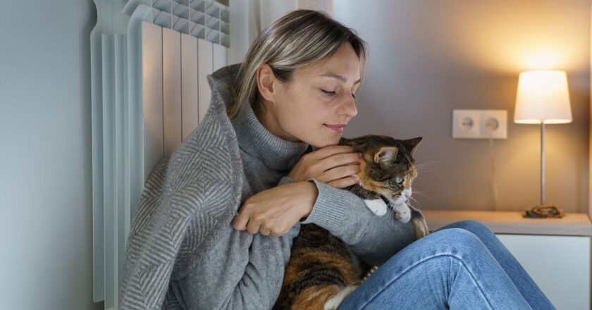 Stay warm without putting the heating on for less than 1p an hour | Personal Finance | Finance