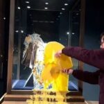 Left-wing activists &lsquo;plotting mass shoplifting in major UK supermarket&rsquo; | UK | News