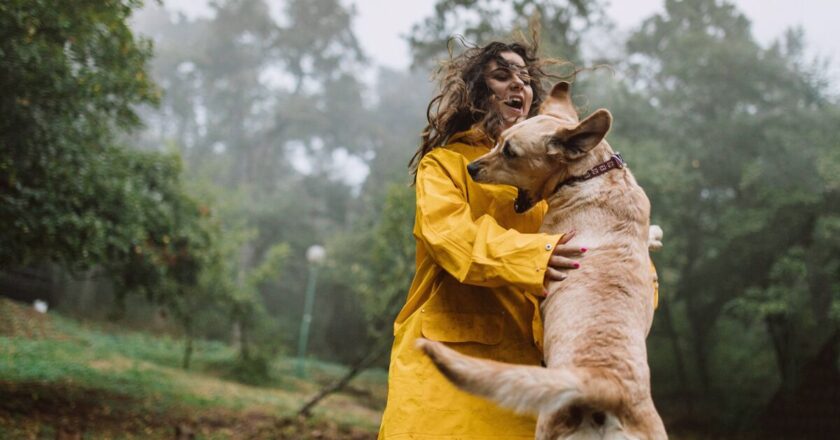Dog behaviourist shares easy method to stop pets jumping up