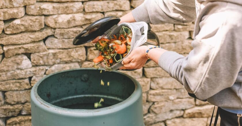 Gardener issues important advice to anyone who composts tea bags