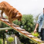 Dog trainer lists breed that don&rsquo;t &lsquo;make good pets&rsquo; — shouldn&rsquo;t be around kids