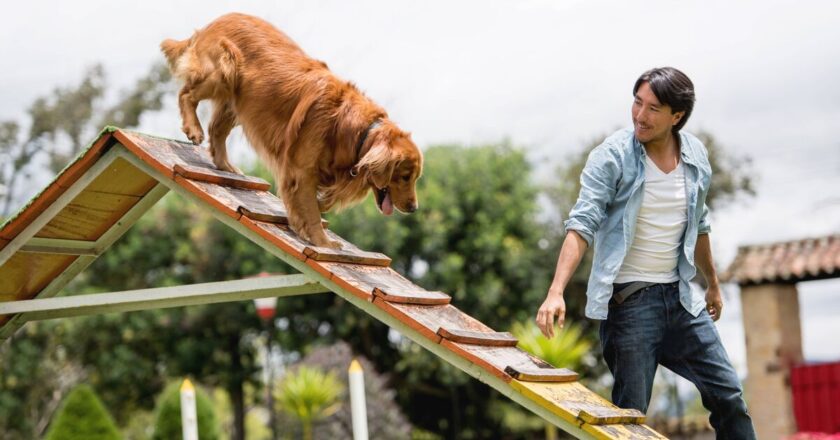 Dog trainer lists breed that don&rsquo;t &lsquo;make good pets&rsquo; — shouldn&rsquo;t be around kids