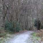 Dad hears strange noise in the woods and is heartbroken over discovery
