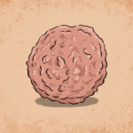 Un « minifoie » en 3D pour tester la toxicité des aliments