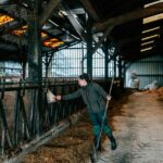 l’écart s’est réduit en 2024 pour atteindre 21,8 %