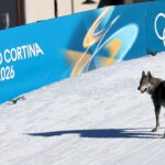 Owners speak out after viral dog runs onto Winter Olympics course