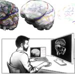 Notre crâne ne renvoie pas un reflet fidèle de l’anatomie de notre cerveau