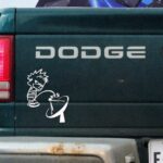 Stealing cable has evolved: the new face of TV piracy