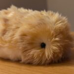 Casio’s AI pet Moflin will haunt my dreams