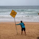 En Nouvelle-Calédonie, une campagne de prélèvement de requins relancée après une attaque mortelle