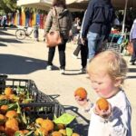 &lsquo;I was going crazy&rsquo; – family swaps UK&rsquo;s £3k bills for £690 Greece