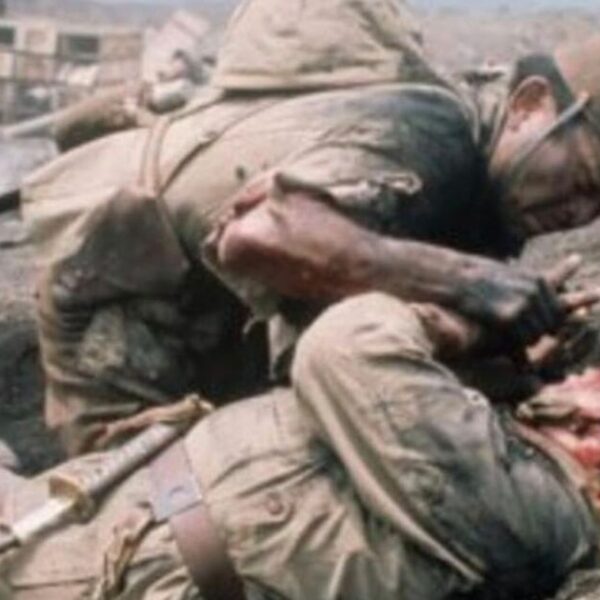 ‘Masterpiece’ WW2 epic is ‘one of the most underrated war films ever’ | Films | Entertainment