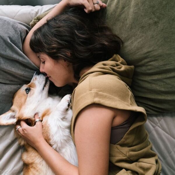 3 heartwarming reasons dogs love sleeping in the bed with you