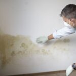 UK households warned of 1 hidden mould hotspot that almost everyone misses