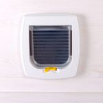 Woman baffled by mysterious animal footprints from cat flap