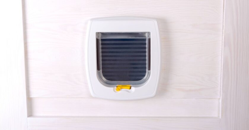 Woman baffled by mysterious animal footprints from cat flap