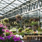 Beloved UK garden centre set to close in &lsquo;sad loss&rsquo; for locals