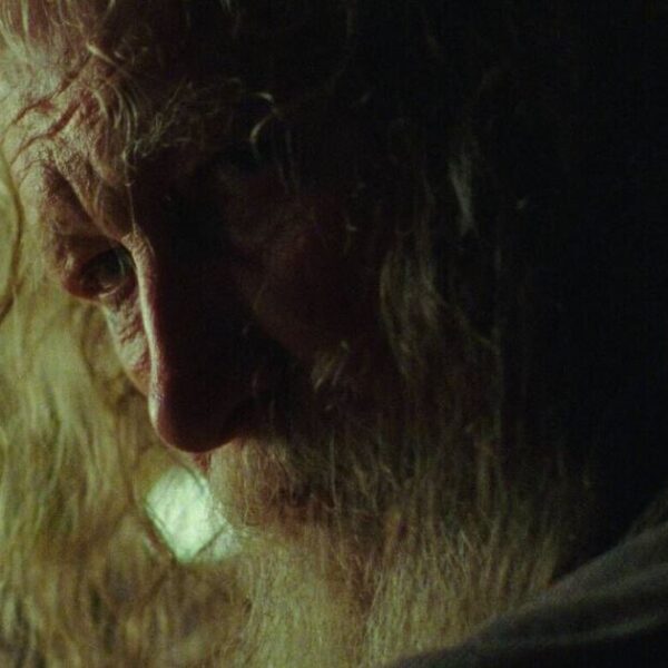 Netflix adding &lsquo;perfect&rsquo; adaptation nominated for an Oscar | Films | Entertainment