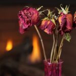 Stop your flowers dying in days and smelling foul with 4 steps