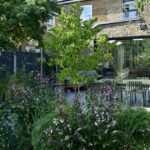 ‘Nightmare neighbour caused £600 worth of damage trimming my trees’