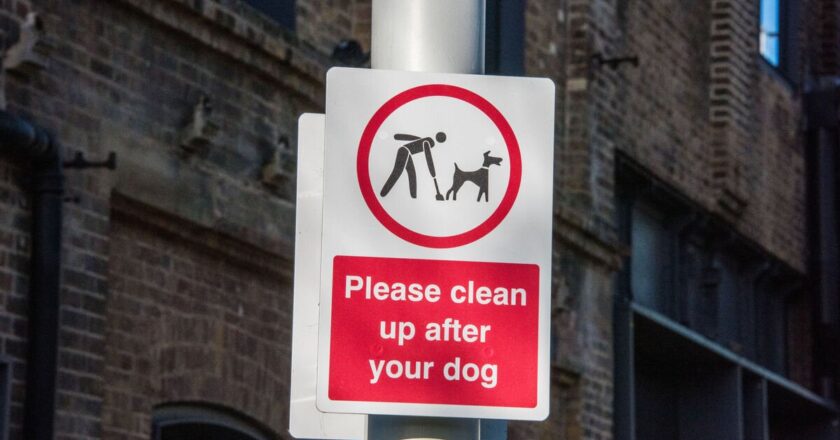 Resident sick of neighbours leaving dog poo, takes action
