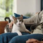 Cat owners told common action doesn’t mean your pet is happy