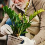 Use this exact measurement rule when repotting your house plants | Personal Finance | Finance