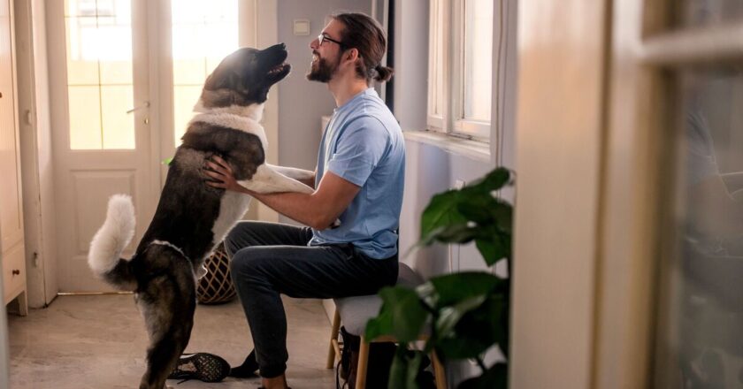 Dog expert shares the reason dogs get excited when you come home