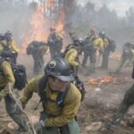 ‘Masterpiece’ film based on true story available on Amazon Prime – ‘have tissues ready’ | Films | Entertainment