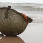 Four British WW2 films based on incredible true stories are on BBC2 this weekend | Films | Entertainment