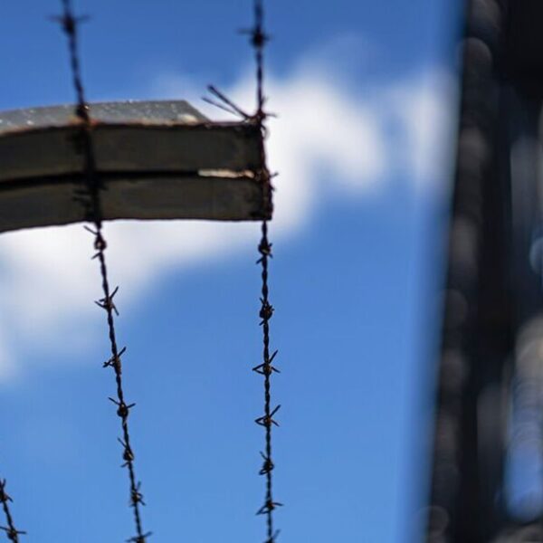 Top 10 World War 2 British POW films ranked – Star jailed while filming No 1 | Films | Entertainment