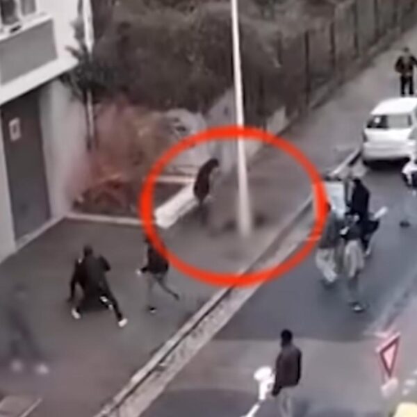 A Lyon, la mort de Quentin Deranque révèle la violente radicalisation d’une génération de militants antifascistes