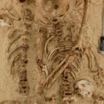 La génétique résout 12 000 ans plus tard un cold case du Paléolithique