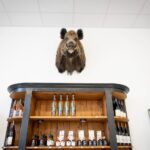 La Sologne, terrain de chasse des capitaines d’industrie et de l’extrême droite