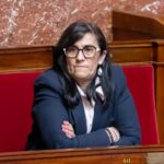 Vincent Claudin, assistant parlementaire d’une députée du RN, licencié à cause de publications racistes, homophobes et antisémites sur les réseaux sociaux
