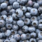 FDA recalls 55,000 pounds frozen blueberries over potential Listeria