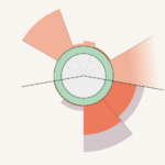 La théorie du donut, une bouée pour atteindre les objectifs de la transition écologique