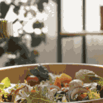 Certain type of olive oil has surprising benefit on cognitive health