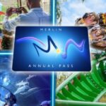 Win four Gold Merlin Annual Passes to Alton Towers, Thorpe Park and more