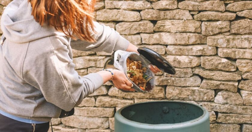 Rats are banished from outdoor compost bins with 1 item