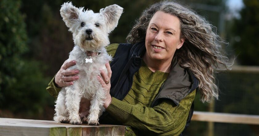 I run one of the UK’s cheapest vets – people drive 400 miles so I can save their pets | UK | News