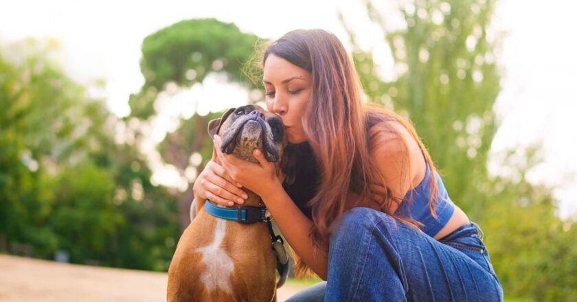 ‘I’m a dog lover but would never own 1 unpredictable breed’