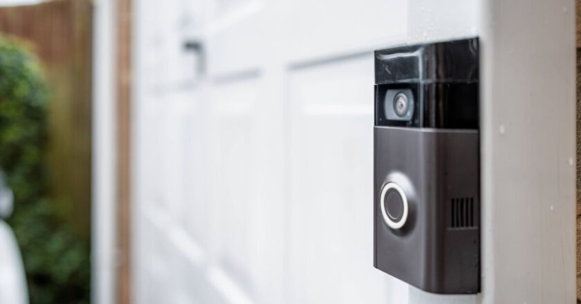 Doorbell camera alerts woman to chicken in garden and she’s floored