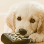 Owner whose dog won’t cuddle shares ‘puppy blues’ struggle