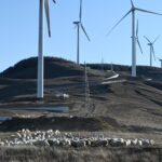 Les nouvelles ambitions climatiques très prudentes de la Chine l’éloignent de ses engagements internationaux