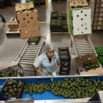 Le Mexique avance timidement vers la semaine de quarante heures