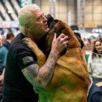 Dustin Rhodes’ mastiff receives award at UK dog show