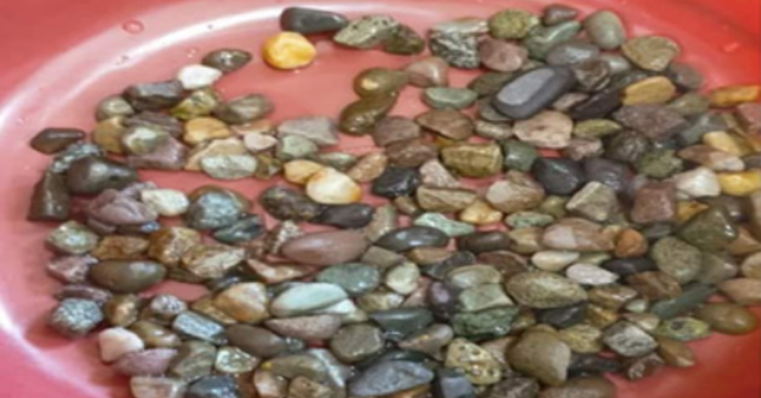 Des cailloux dans l’intestin : récits cliniques d’ingestions improbables